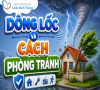 (TTXVN) Dông lốc và cách phòng tránh